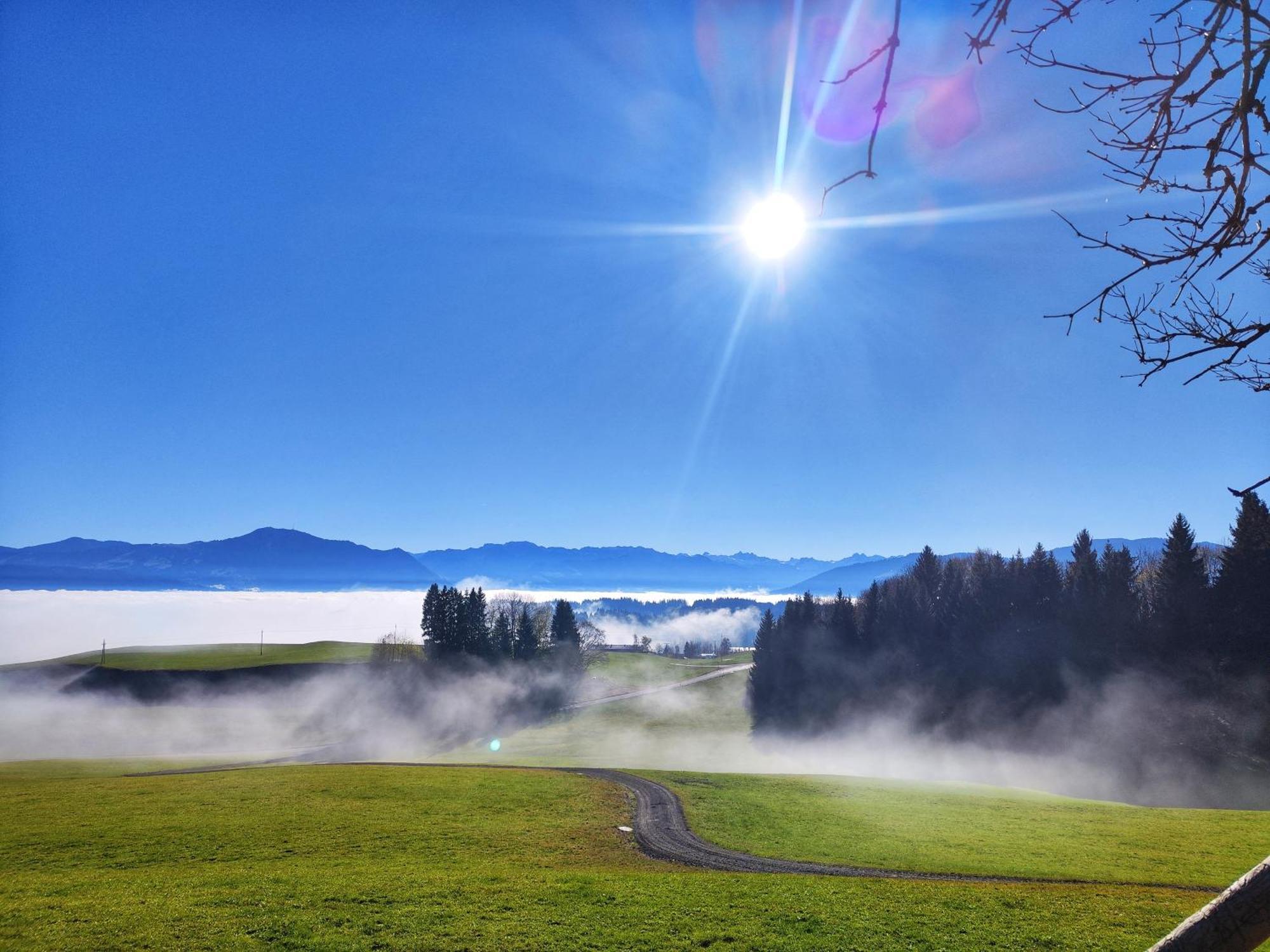 AlpseeGrünten - die Ferienwohnung Immenstadt im Allgäu Exterior foto